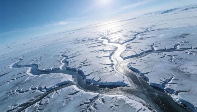 Aerial view revealing branching open-water leads carving through arctic polar sea ice sunlit
