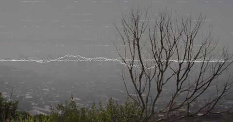 Foggy hilltop overlooking city with bare tree silhouette and dotted waveform overlay