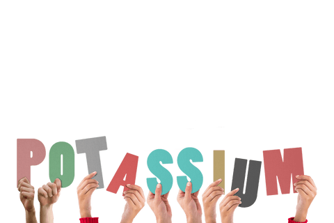 Hands Holding Colorful Letters Spelling Potassium on Transparent Background - Download Free Stock Videos Pikwizard.com