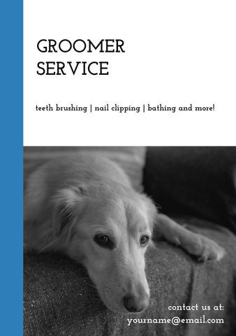 pet groomer services for dogs with contact information - Download Free Stock Templates Pikwizard.com