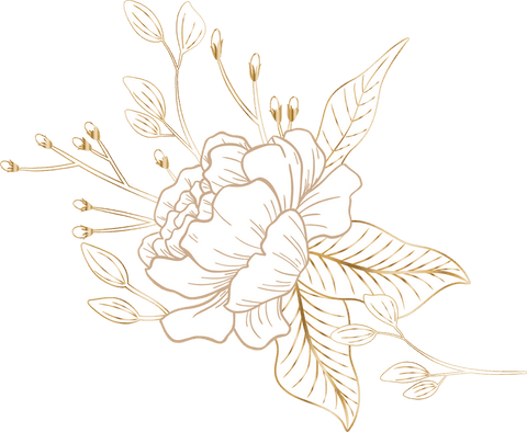 Elegant Peony Floral Illustration on Transparent Background - Download Free Stock Videos Pikwizard.com
