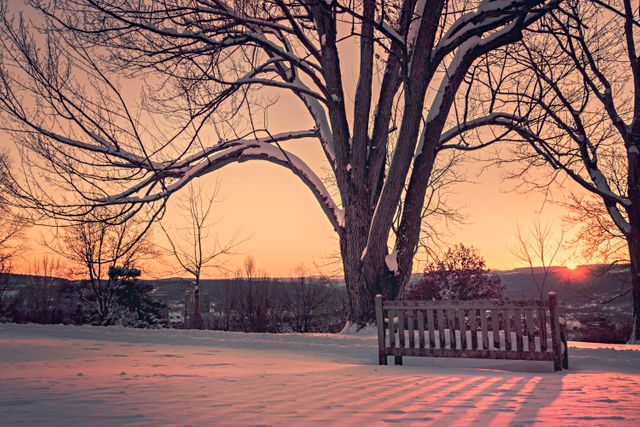 Evoking a sense of calm and serenity, this image captures a peaceful winter sunset over a snowy landscape with a bare tree and a bench. Natural sunlight delicately illuminates the sky, creating a beautiful gradient of warm colors against the cold snow. Ideal for use in seasonal greeting cards, winter-themed blogs, and websites aimed at fostering feelings of tranquility and peacefulness.