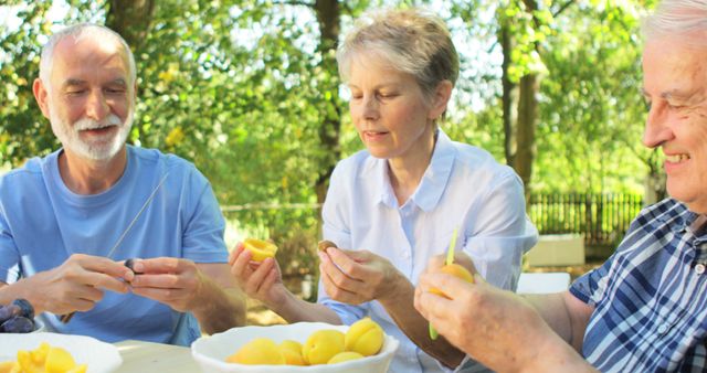 Seniors Enjoying Outdoor Activity of Fruit Preparation Together - Download Free Stock Images Pikwizard.com