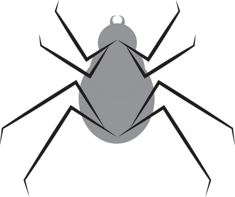minimalist black and grey insect vector on transparent background - Download Free Stock Videos Pikwizard.com