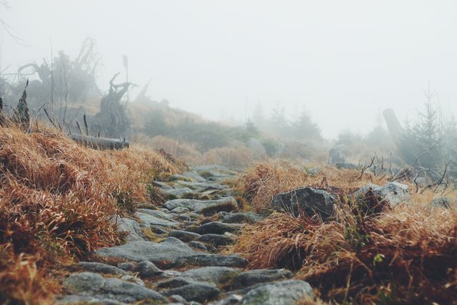 Misty Mountain Trail with Rocky Path and Autumn Grass - Download Free Stock Photos Pikwizard.com