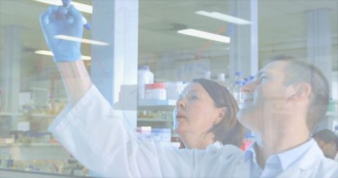 Researchers Collaborating on Laboratory Experiment with Displays