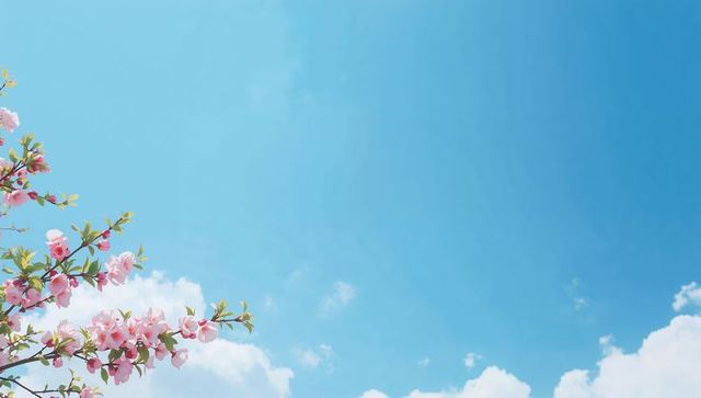 Blooming cherry branch reaching across bright blue sky with soft white clouds