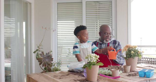 Grandfather and grandson gardening together on balcony - Download Free Stock Images Pikwizard.com