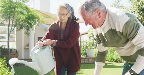 Senior Couple Gardening Together on Sunny Day