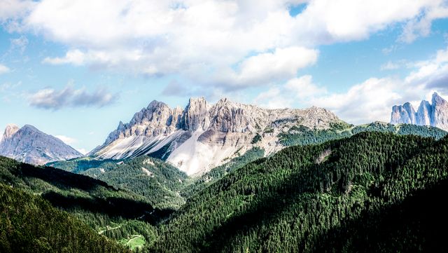 The view showcases a stunning landscape with rugged rocky mountains in the background and dense, green forests stretching out in the foreground. Fluffy white clouds float in a bright blue sky above, adding to the picturesque scene. This stock photo is ideal for nature magazines, travel brochures, environmental campaigns, and outdoor adventure promotions.
