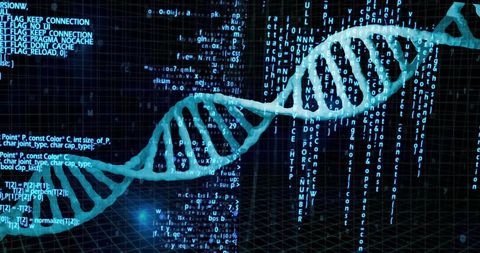 Conceptually represents intersection of genetics and digital technology, showcasing how data processing is integrated into scientific research. Useful for illustrating biotechnology advancements, genetic research, or programming applications in medical fields.