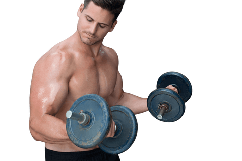 Athletic Sportsman Lifting Weights on Transparent Background