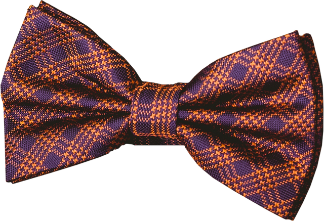 Patterned Bow Tie on Transparent Background for Party or Celebration - Download Free Stock Videos Pikwizard.com