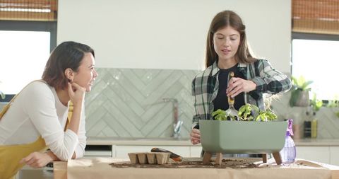 Two women planting seedlings in sunlit kitchen using planter and trowel