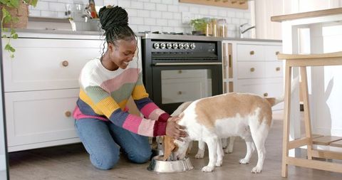 Happy Young Woman Feeding Dog in Modern Kitchen