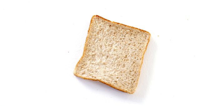 Single slice of toasted whole wheat bread on white background - Download Free Stock Images Pikwizard.com