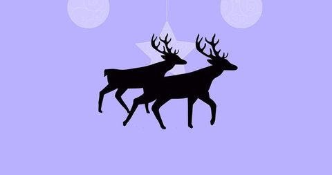 Reindeer Silhouette on Festive Purple Background with Ornaments