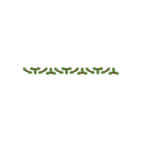mistletoe leaves and fruits motif on transparent background - Download Free Stock Videos Pikwizard.com