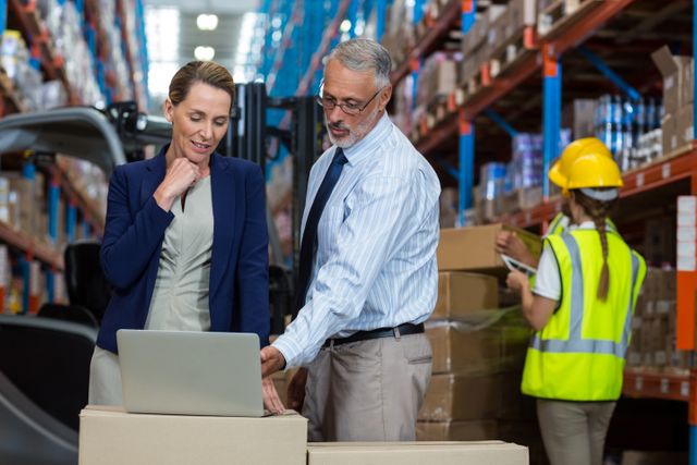 Portrait of warehouse manager and client interacting over laptop in warehouse