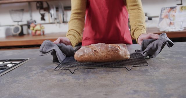 Person in red apron placing warm, freshly baked bread on cooling rack in cozy kitchen. Ideal for use in food blogs, culinary websites, cookbooks, bakery advertisements, or recipe articles promoting home baking or artisanal bread.