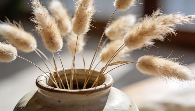 Sunlit ceramic vase holding dried bunny tail grasses for minimalist decor
