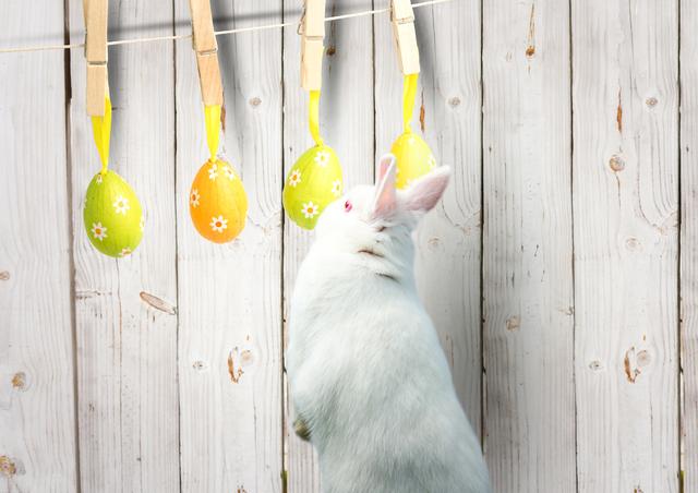 Digital composite of Easter eggs hanging in the garden with rabbit