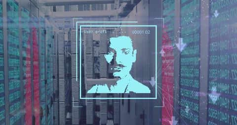 Biometric data processing in computer server environment