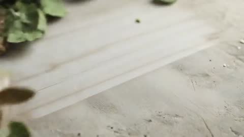 Natural Concept with Seeds and Granite Background