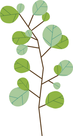 Stylized botanical branch with round leaves on transparent background