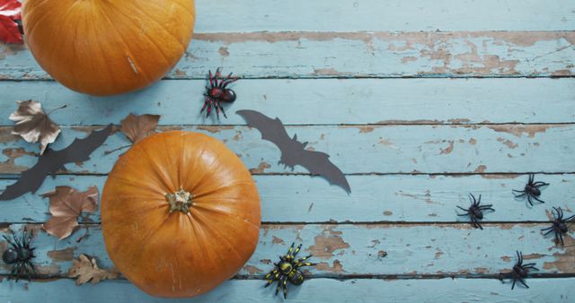 Two pumpkins on distressed blue wooden surface, alongside decorative spiders, bats, and dry leaves. Ideal for Halloween event promotions, seasonal greeting cards, or holiday social media posts.