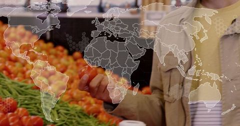 World Map Overlay on Fresh Market Produce Symbolizing Global Food Trade