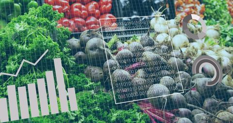 Data Analytics in Agriculture and Retail Food Industry - Download Free Stock Images Pikwizard.com