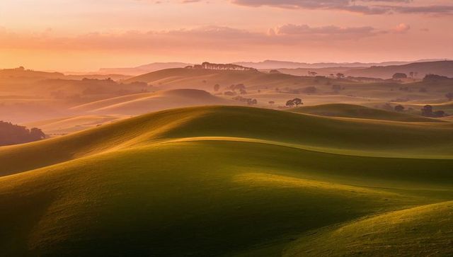 Golden rolling hills at sunrise bathing pastoral meadow in soft mist and warm light