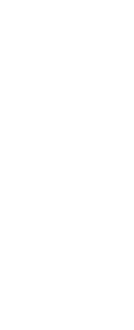 Silhouette of Celebrating Football Player on Transparent Background