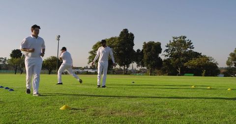 Cricket team running agility drills on sunny green field in white uniforms with training cones