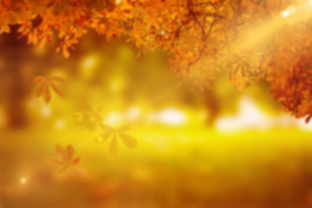 Beautiful Transparent Autumn Leaves Falling on Grassy Field with Golden Sunlight - Download Free Stock Videos Pikwizard.com