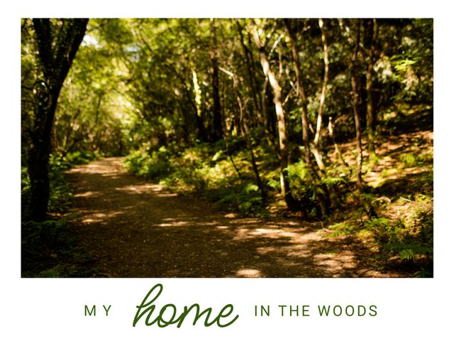 Forest pathway with lush green foliage and dappled sunlight offers a tranquil setting ideal for nature and wellness branding. Perfect for use in botanical, eco-friendly, or outdoor adventure campaigns, promoting relaxation, and mindfulness in natural settings.