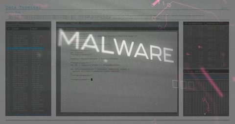 Malware Analysis Terminal Dashboard Showing Code, Credential List and Hexdump, Monochrome