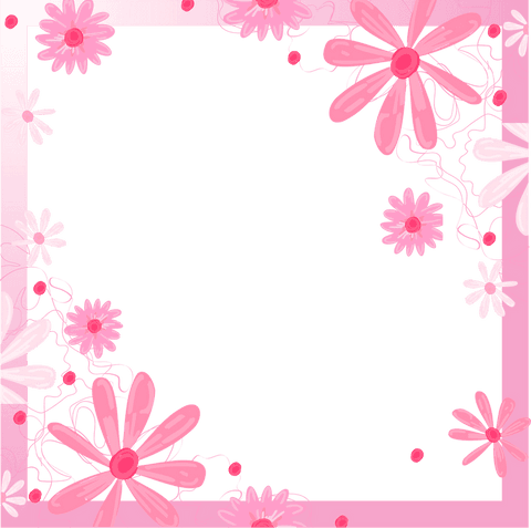 Pink Daisy Floral Frame with Vine Tendrils on Transparent Background - Download Free Stock Videos Pikwizard.com
