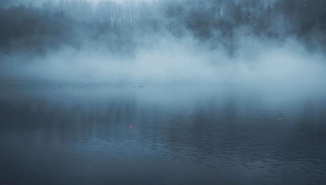 Hovering mist over calm lake creating mirror-like reflection with hazy tree silhouettes