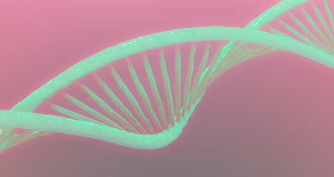 Macro Green DNA Strand on Pink Background Digital Animation