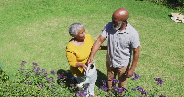 Senior man and woman watering plants together in a lush backyard garden, symbolizing love, companionship, and shared hobbies in retirement. Perfect for use in advertisements related to senior health, gardening products, or lifestyle articles about aging gracefully and enjoying outdoor activities.