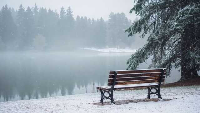 Snow-dusted bench overlooking misty lake at dawn, tranquil winter solitude scene