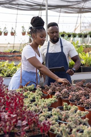 African american woman consulting nursery staff while examining succulents in greenhouse