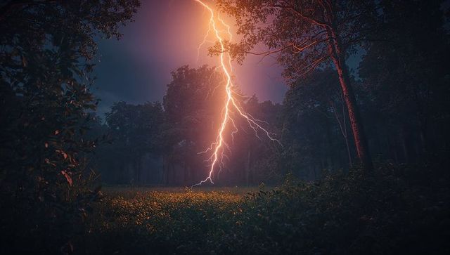 Dramatic Lightning Bolt Illuminates Night Forest in Storm