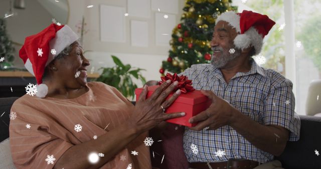 Senior couple celebrating Christmas with gift exchange and snowflake wish - Download Free Stock Images Pikwizard.com