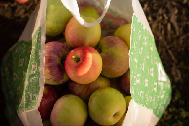 Overhead view of a plastic bag filled with freshly picked red and green apples. Perfect for use in content related to farming, organic produce, autumn harvest, healthy living, and sustainable grocery shopping.