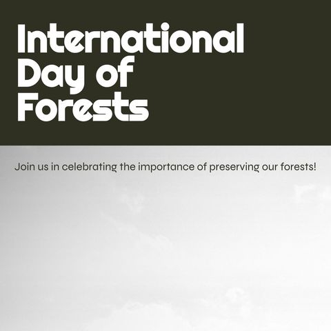 international day of forests awareness poster with clear skyscape - Download Free Stock Templates Pikwizard.com
