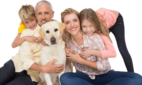 happy family with labrador dog, transparent background experience - Download Free Stock Videos Pikwizard.com