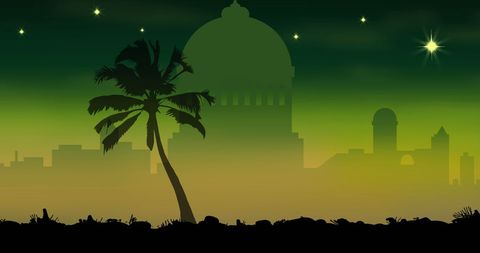 Exotic Palm Silhouette Against Night Cityscape with Stars